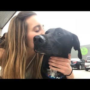 Meet your Posher, Elizabeth